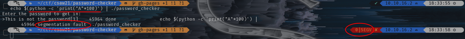 A Buffer Overflow by Sending One-Hundred A's to the password_checker Binary